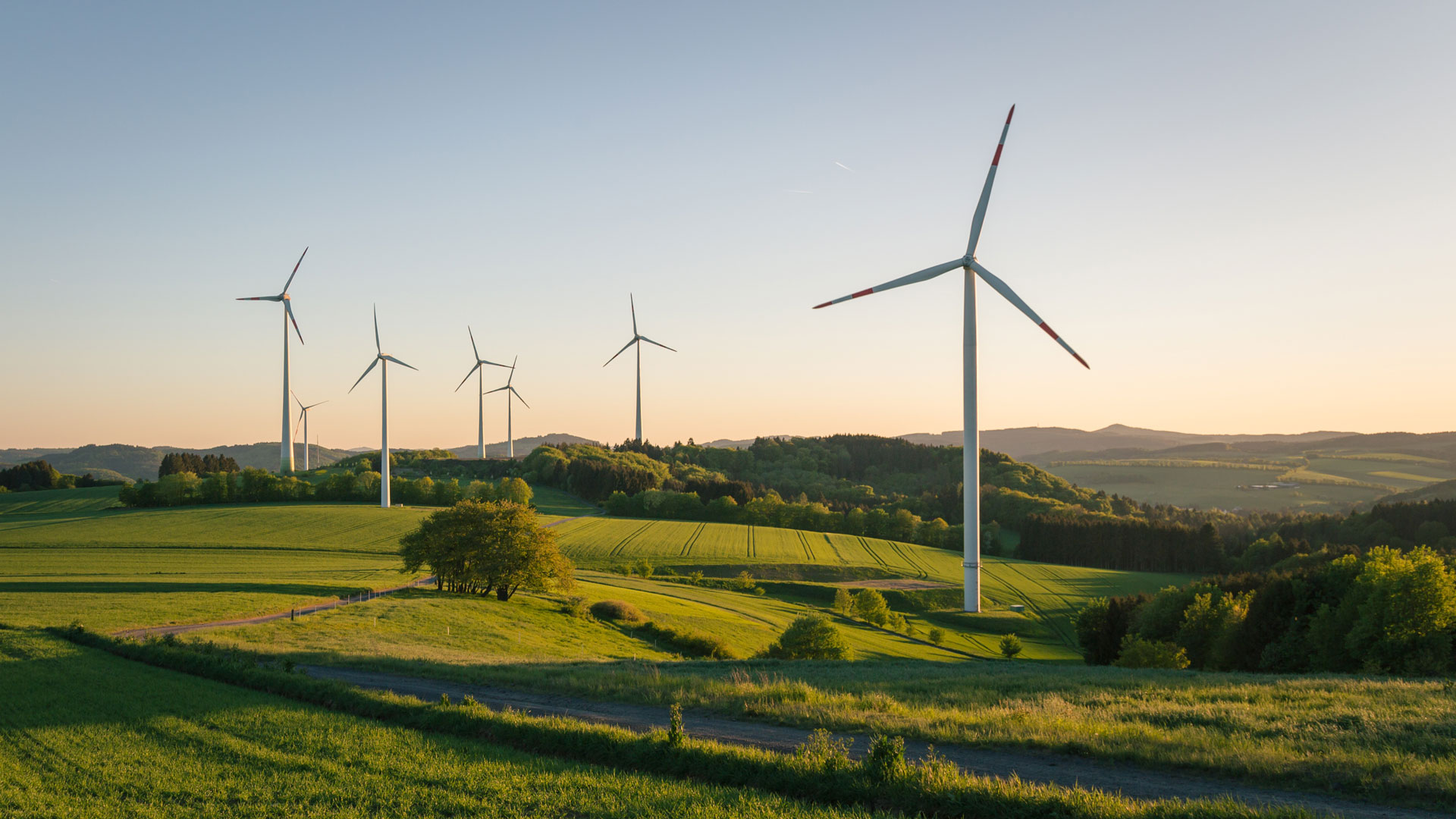 Champ d'éolienne - greenea - electricite vert - eac - e.a.c - eac certification - eac def - elec vert
