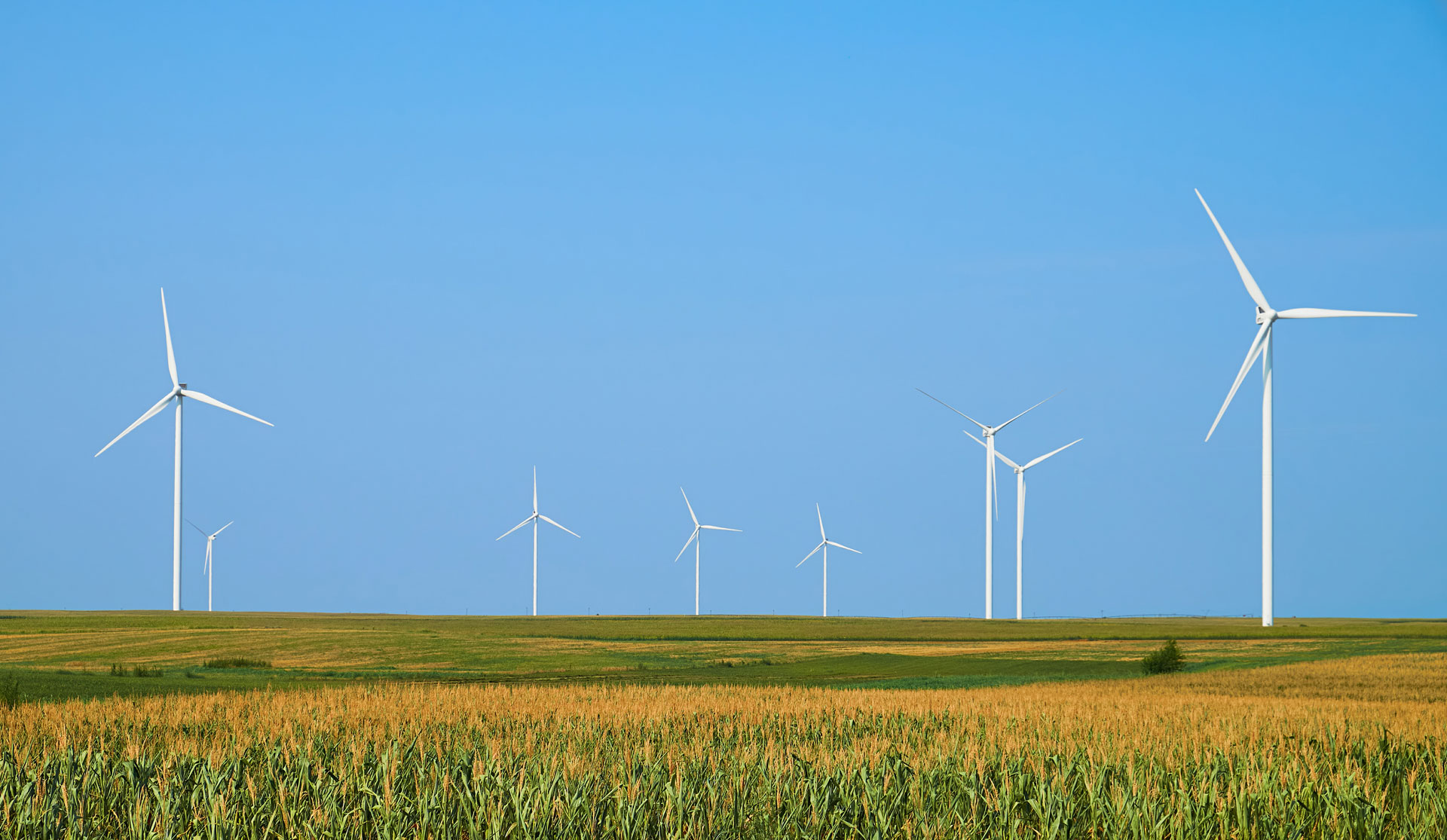 Voici la traduction en anglais : **Wind turbine field - GreenEA - Green electricity - EAC - E.A.C - EAC certification - EAC definition - Green electricity