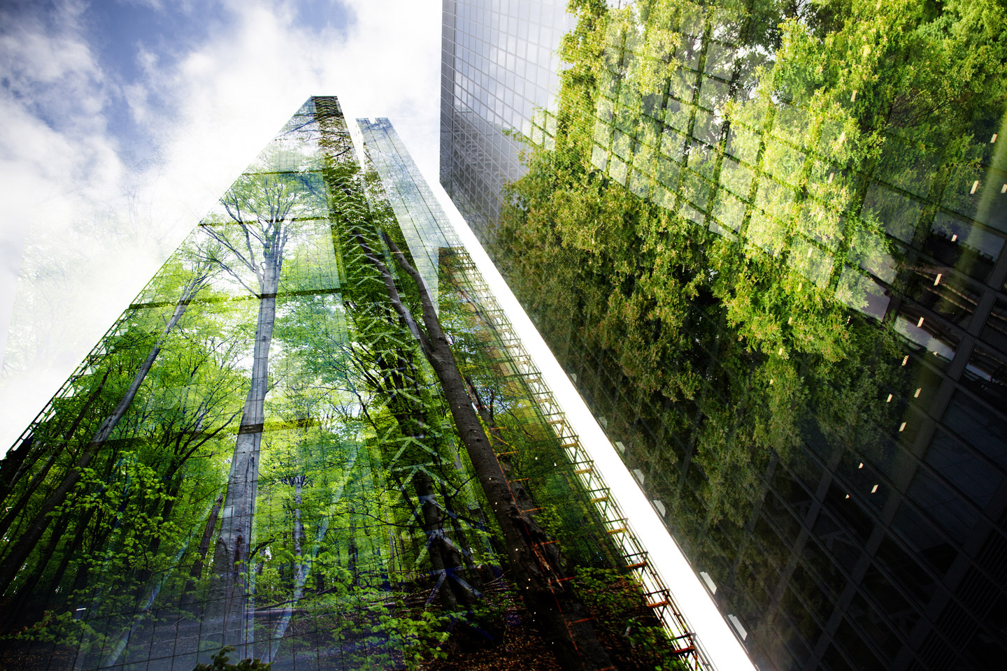 Green city building, forest trees, carbon offsetting