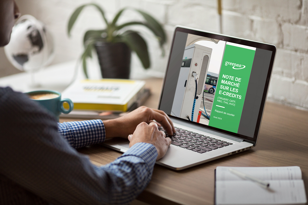 GREENEA MONITOR e-credits mockup greenea